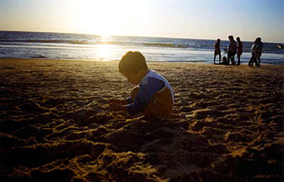 Picture by Debashish Chakrabarty Picture by Debashish Chakrabarty